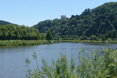 DSC_1177