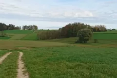 184386617cf