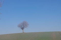 20260227_100006