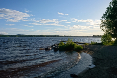 DSC_0297