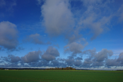DSC_1207