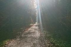 DSC_1213
