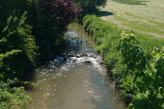 DSC_1112