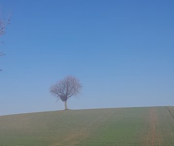 Lockruf des Südens – Tour des Franz – Teil 1