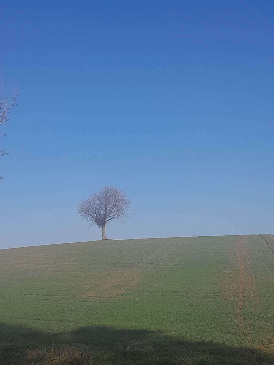 Lockruf des Südens – Tour des Franz – Teil 1